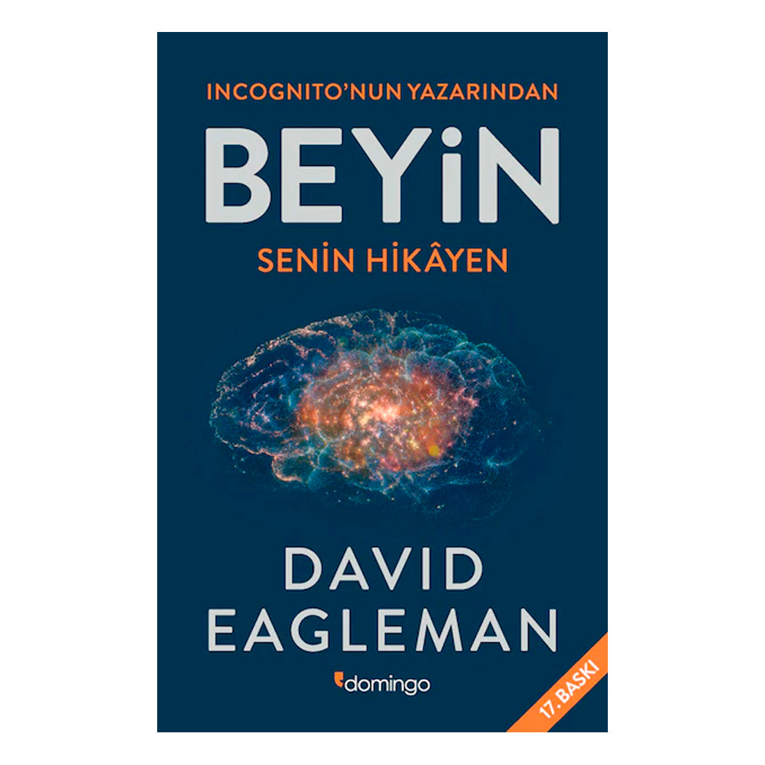 Domingo Yayınevi Beyin