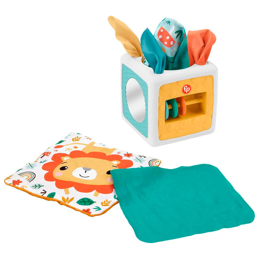 Fisher Price Yenidoğan Eğlenceli Aktivite Küpü HML64
