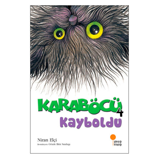 Günışığı Yayınları Karaböcü Karaböcü Kayboldu