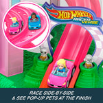 Hot Wheels Hot Wheels Racerverse Barbie Oyun Seti Mate-Jdd65