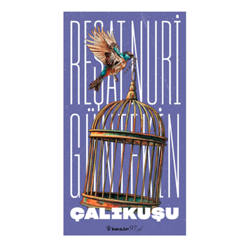 İnkılap Yayınları Çalıkuşu