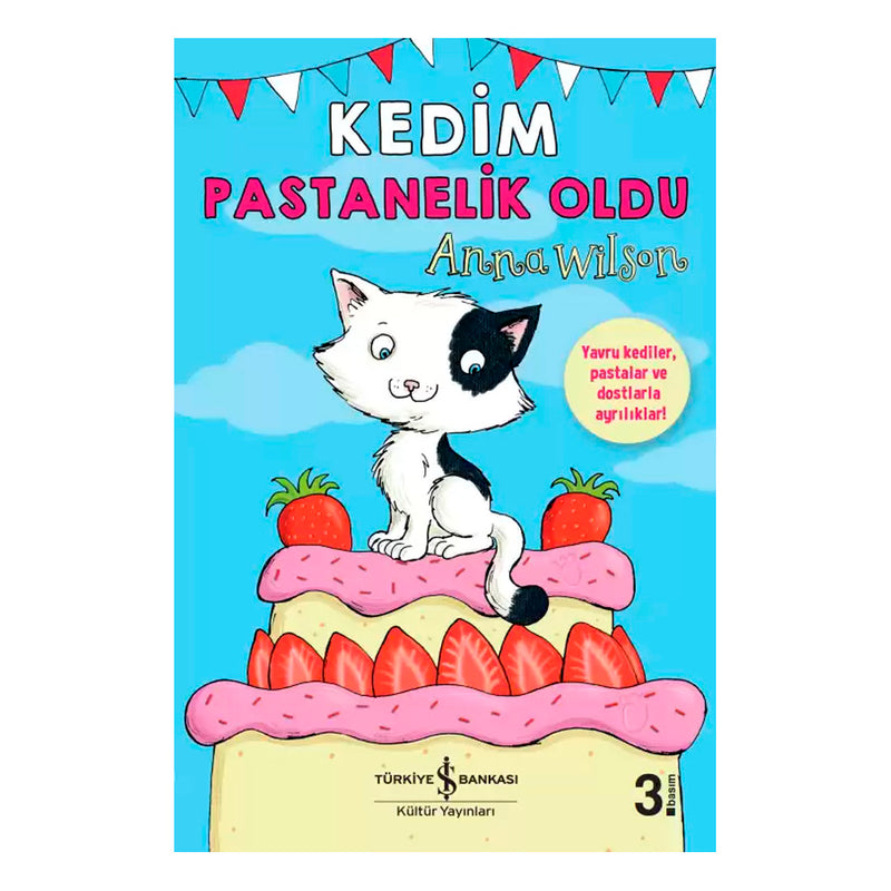 İş Bankası Kültür Yayınları Kedim Pastanelik Oldu