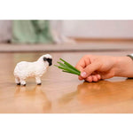 Schleich Siyah Burunlu Koyun 13965
