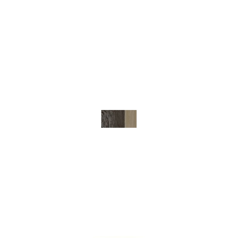 Van Gogh Raw Umber 40 ml Yağlı Boya - Profesyonel Sanatçı ve Hobi Resim Boyası