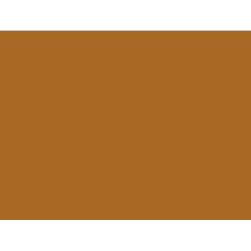 Amsterdam Raw Sienna 120 ml Akrilik Boya - Sanat, Resim ve Hobi Boyası