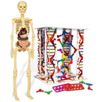 Clementoni İlk Keşiflerim İnsan Anatomisi 64297i