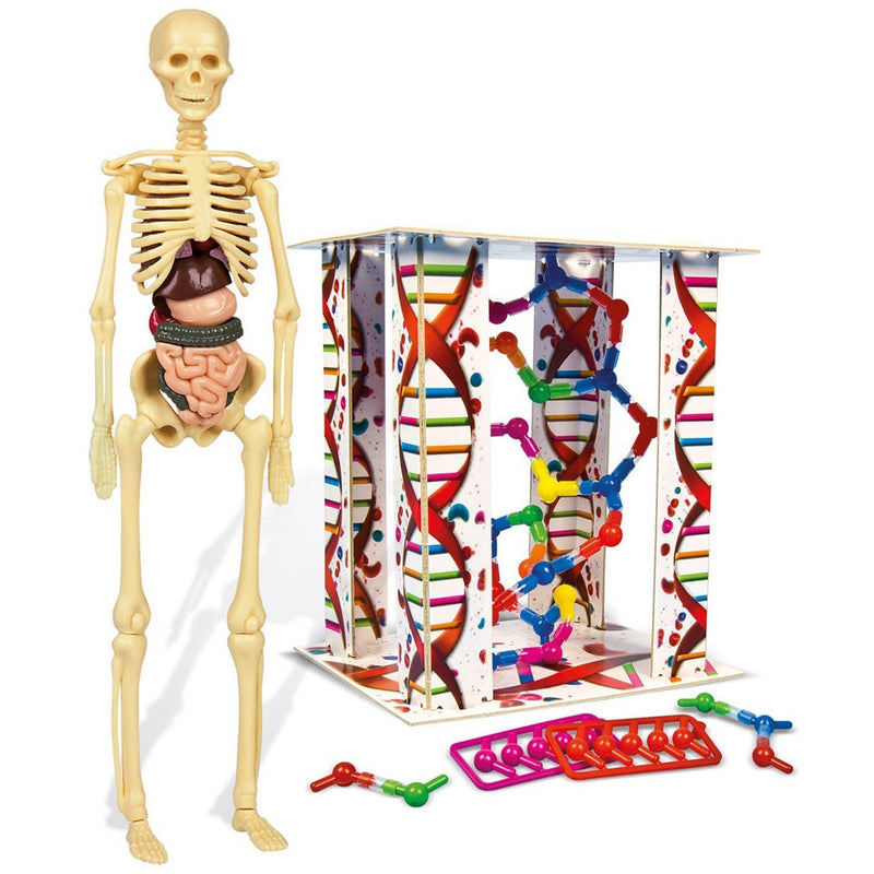Clementoni İlk Keşiflerim İnsan Anatomisi 64297i