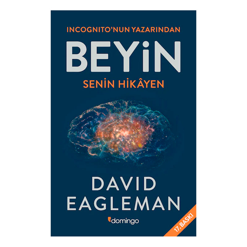 Domingo Yayınevi Beyin
