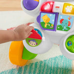 Fisher Price Melodili Zebra Yürüteç DLD80
