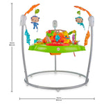 Fisher Price Yağmur Ormanı Jumperoo CHM91