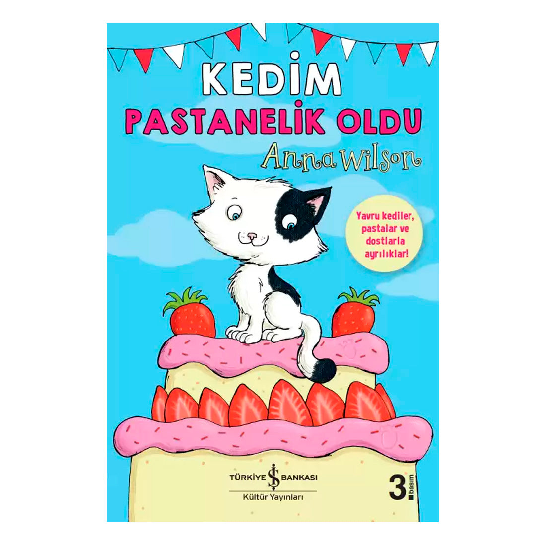 İş Bankası Kültür Yayınları Kedim Pastanelik Oldu