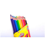 Play-Doh 12'li Tam Boy Kuru Boya  PLAY-KU001