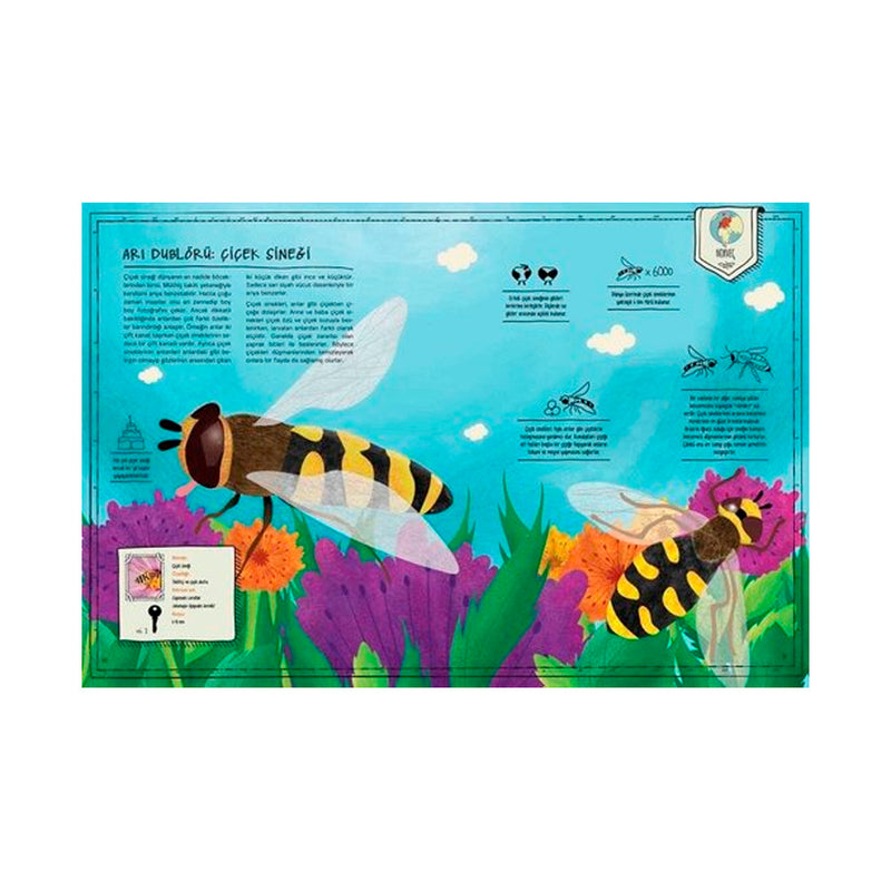 Taze Kitap Yayınları Böcek Atlası