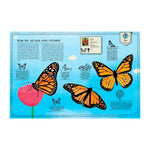 Taze Kitap Yayınları Böcek Atlası