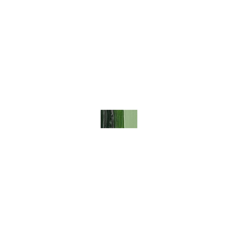 Van Gogh Sap Green 40 ml Yağlı Boya - Sanatçı Resim ve Tuval Boyası