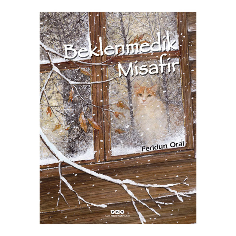 Yapı Kredi Yayınları Beklenmedik Misafir - Ciltsiz